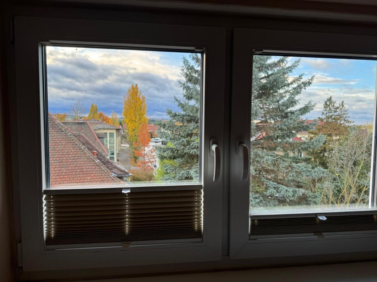 205 Qm "Traumtor" Mit Sauna, Whirlpool, Kamin Und 3 Terrassen Mit Blick In Die Boehmisch Saechsische Schweiz Dresden Luaran gambar